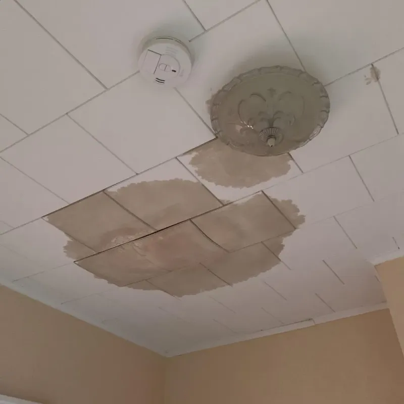 Ceiling Water Damage Repair in Rosepine, LA